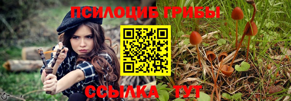 Псилоцибиновые грибы GOLDEN TEACHER  Вход с VPN  Коряжма  Галлюциногенные грибы MAGIC MUSHROOMS 