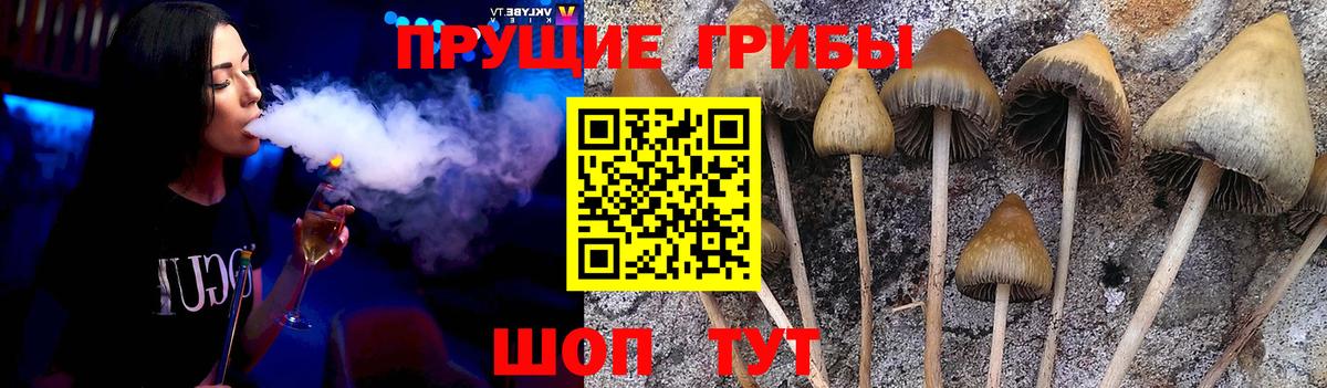 Галлюциногенные грибы мухоморы Коряжма