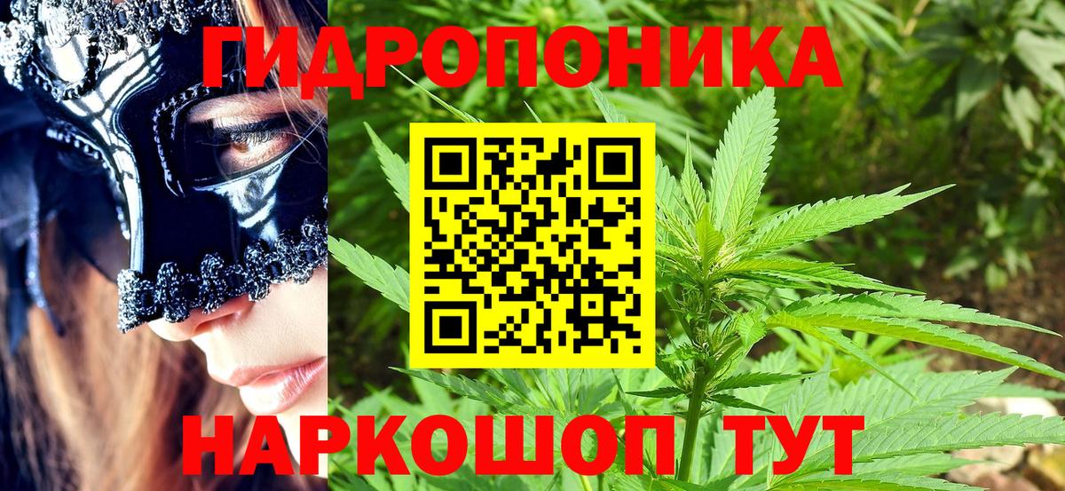 Канабис Bruce Banner  Вход с VPN  Каннабис тримм  Шишки марихуана сатива  Коряжма 